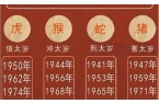 2023年属相运势详解大全-2