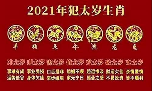 2025年属什么生肖属相表详解解析-2025年属于什么生肖